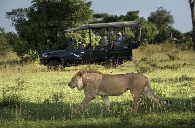 How Technology Enhances Safari Experiences