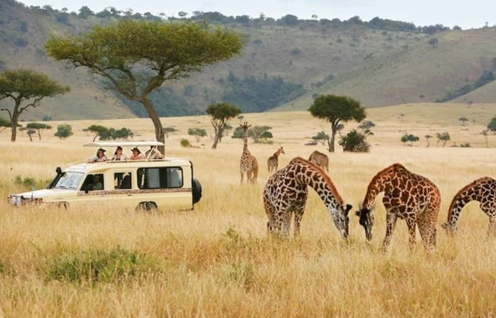 Top African Safari Tour Packages