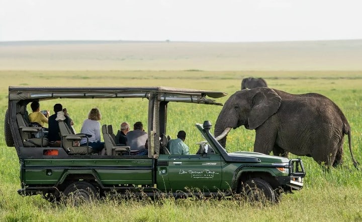 Travel Africa Safari